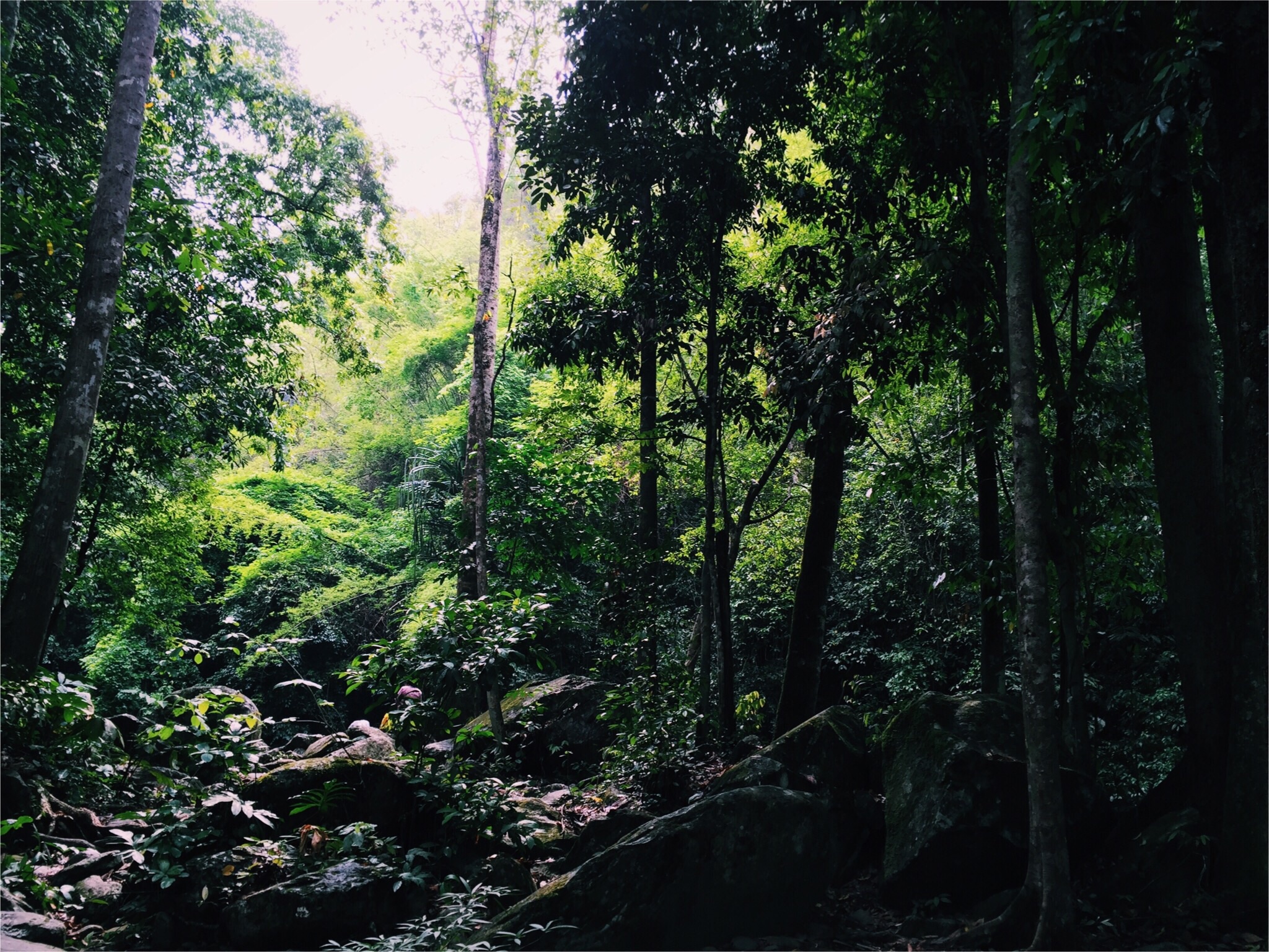 น้ำตกป่าละอู