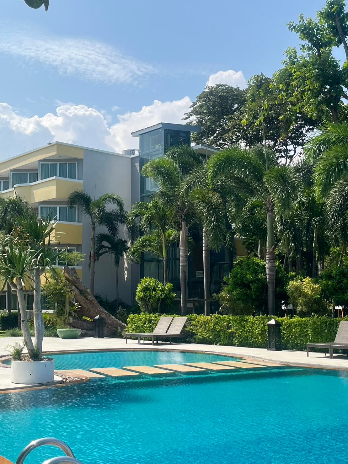 Royal Wave Viewpoint