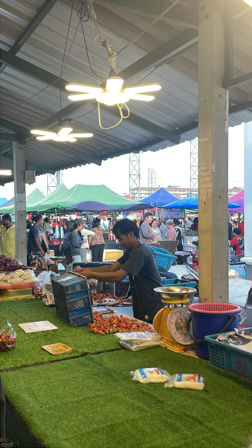 ตลาดนัดแพไม้