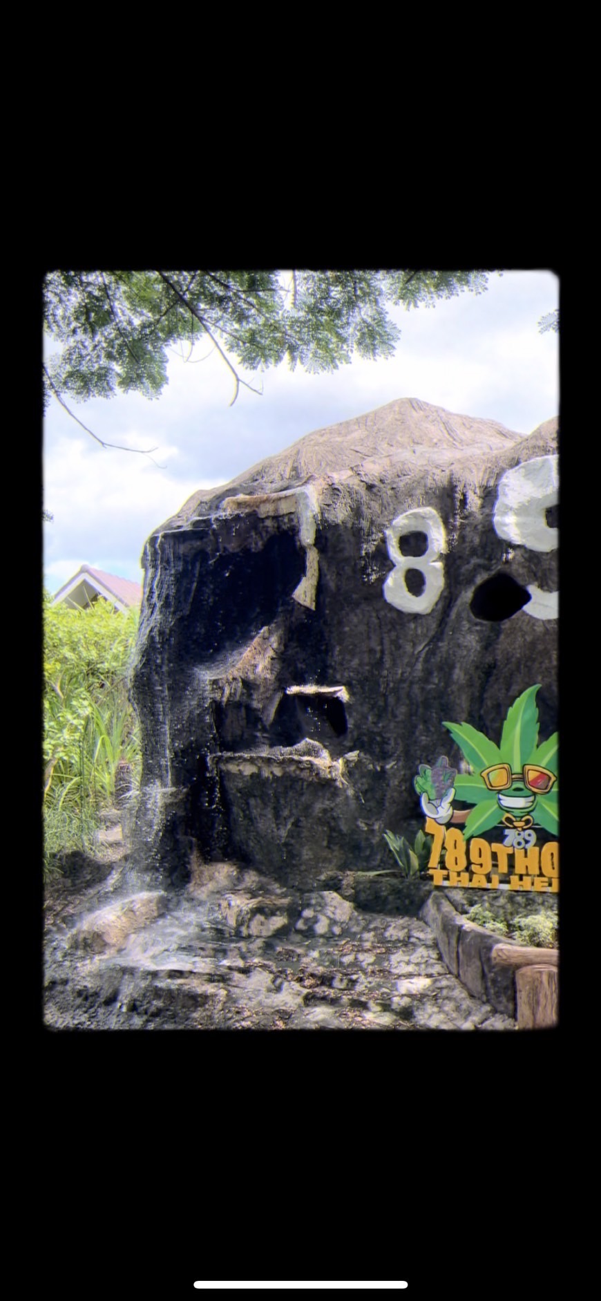 789 ทองไทยเฮิร์บ