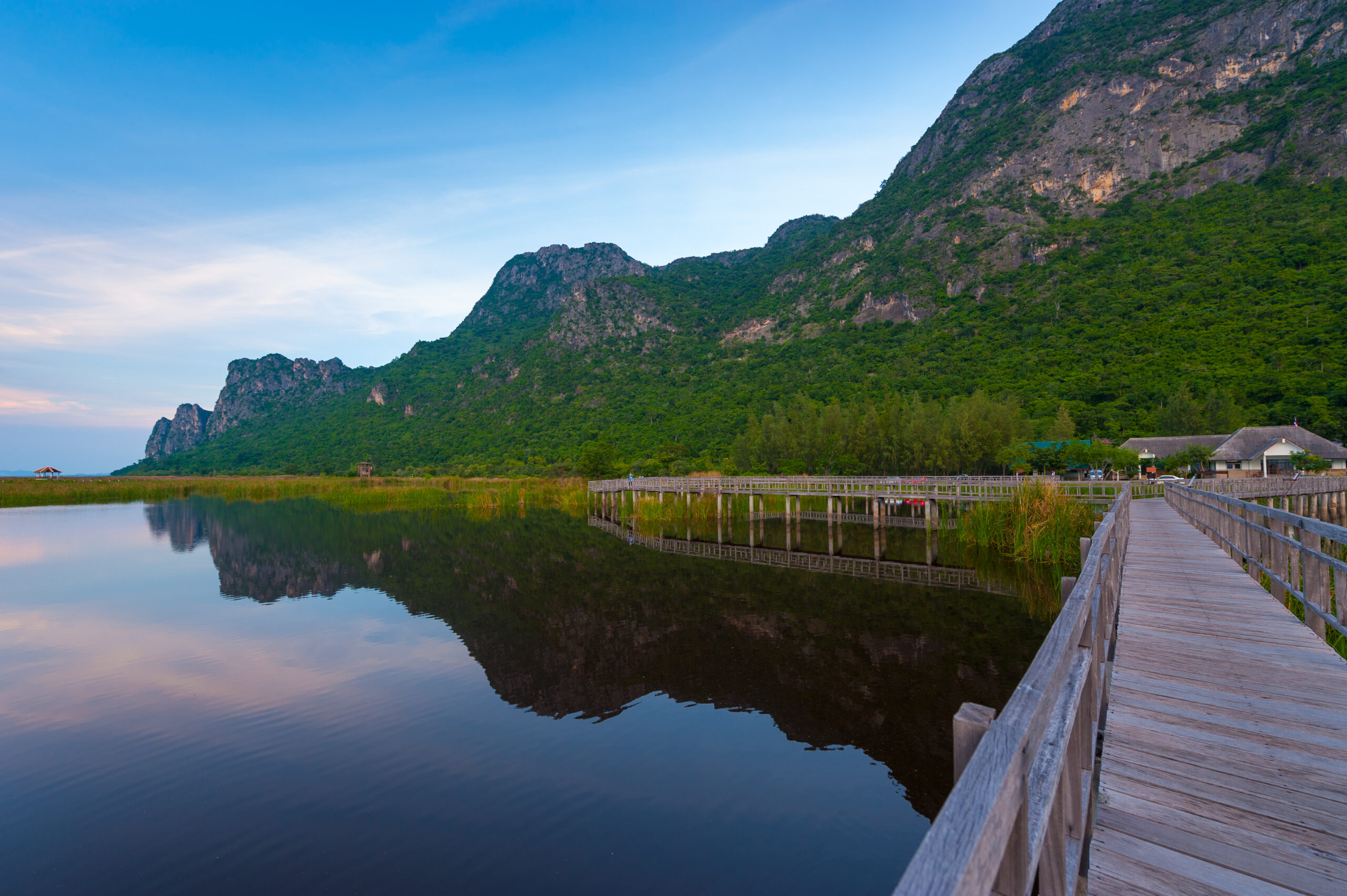 ศูนย์ศึกษาธรรมชาติบึงบัว